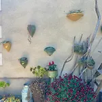 Les Volets Verts Bed & Breakfast Saint-Laurent-de-la-Cabrerisse
