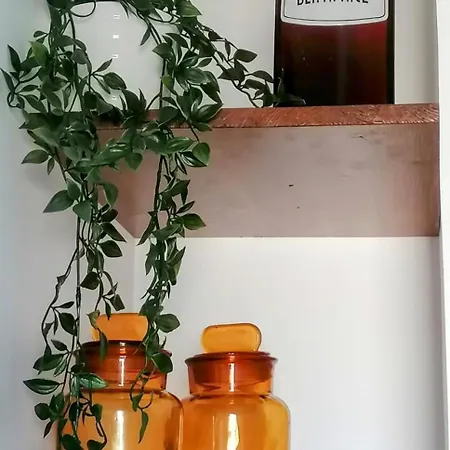 Les Volets Verts Saint-Laurent-de-la-Cabrerisse