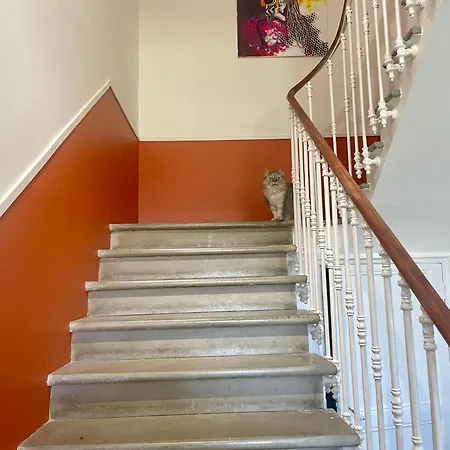 Les Volets Verts 3* Saint-Laurent-de-la-Cabrerisse