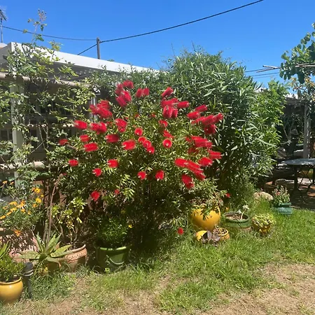 Les Volets Verts Frühstückspension 3*