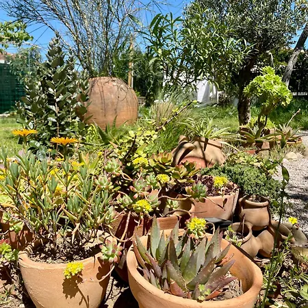 Les Volets Verts Bed & Breakfast 3*