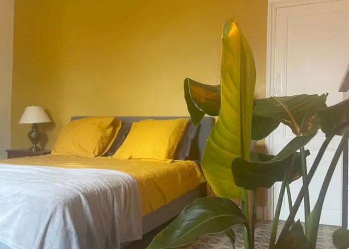 Les Volets Verts Saint-Laurent-de-la-Cabrerisse