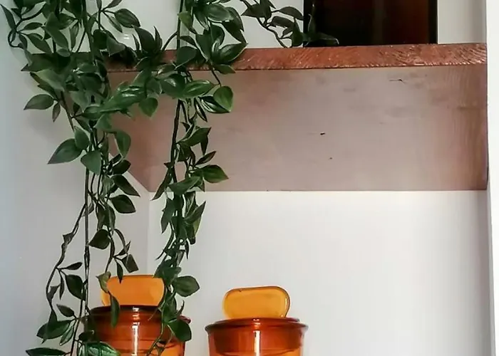 Les Volets Verts Saint-Laurent-de-la-Cabrerisse